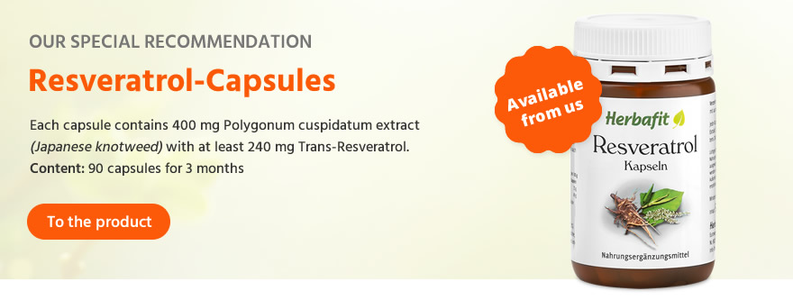 Our special recommendation Our special recommendation