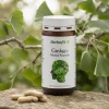Ginkgo mental capsules