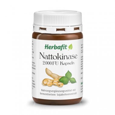 Nattokinase Capsules 48 g