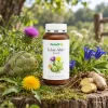 Liver-Active* Capsules
