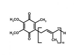 Coenzyme Q10 &amp; Ubiquinol