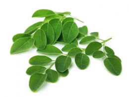 Moringa food supplement